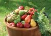 Alimentos ideales